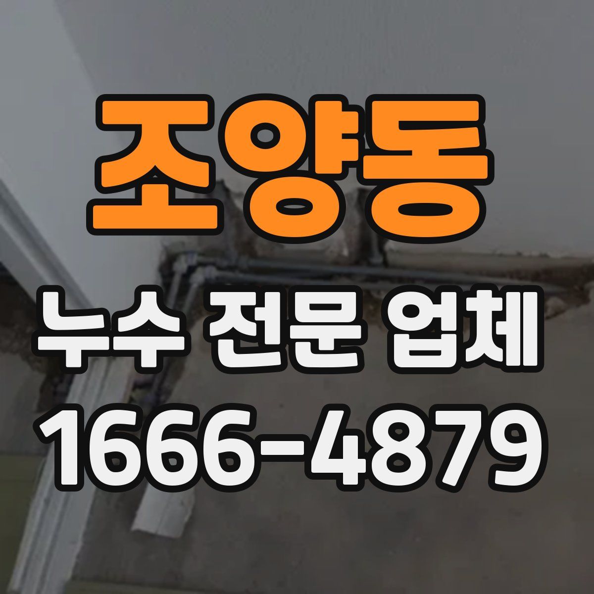 조양동 누수 전문 업체
