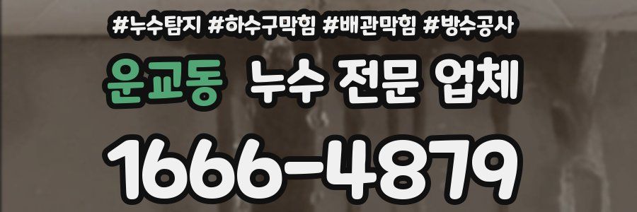 운교동 누수 전문 업체