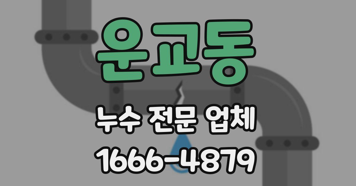 운교동 누수 전문 업체