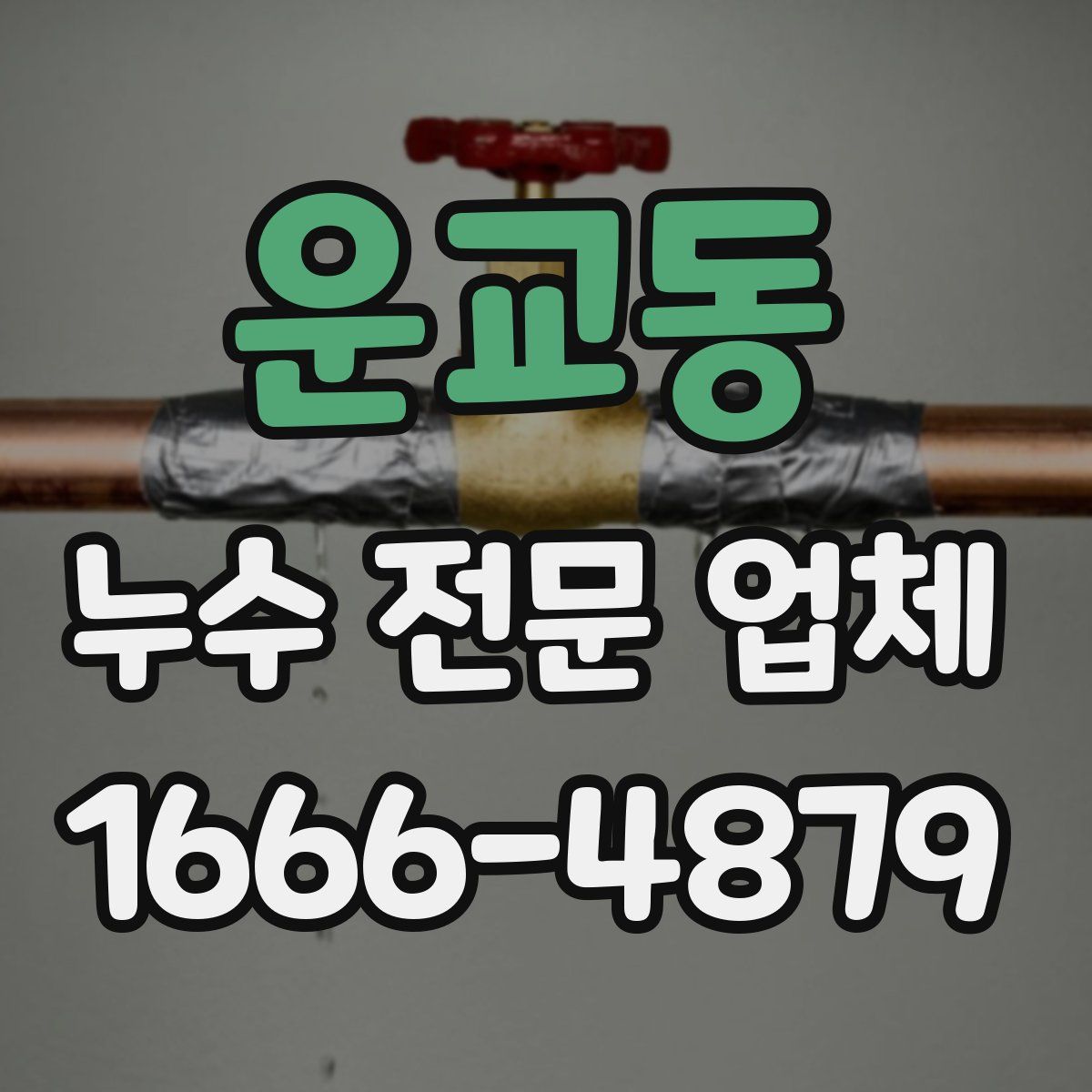 운교동 누수 전문 업체