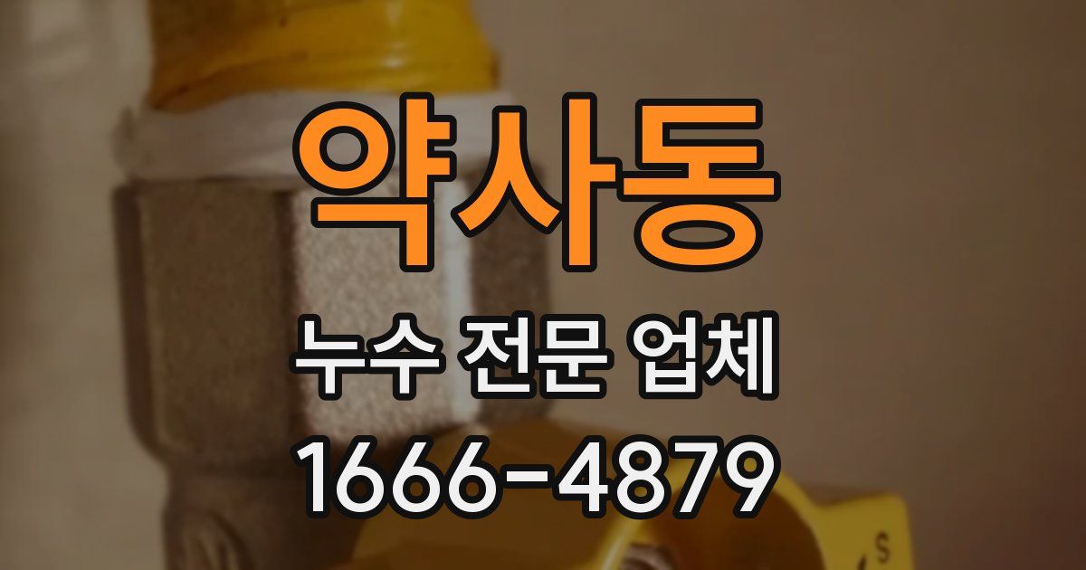약사동 누수 전문 업체