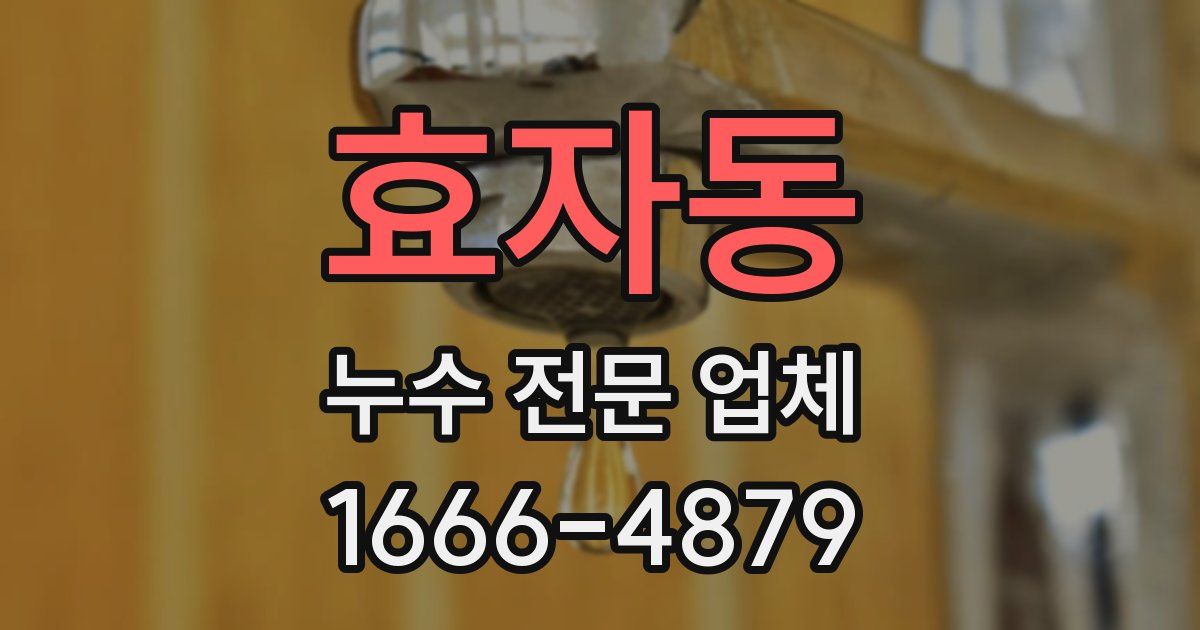 효자동 누수 전문 업체
