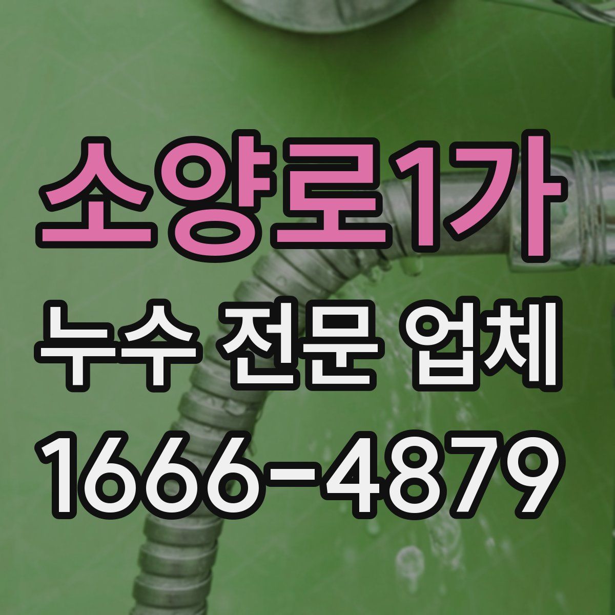 소양로1가 누수 전문 업체