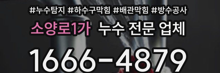 소양로1가 누수 전문 업체