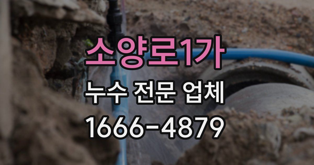 소양로1가 누수 전문 업체