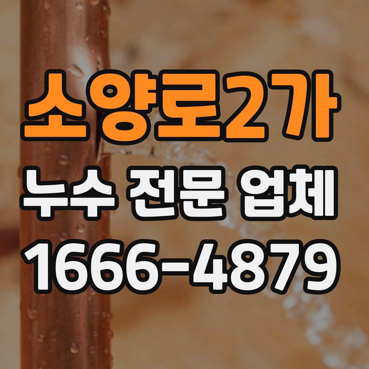 소양로2가 누수 전문 업체