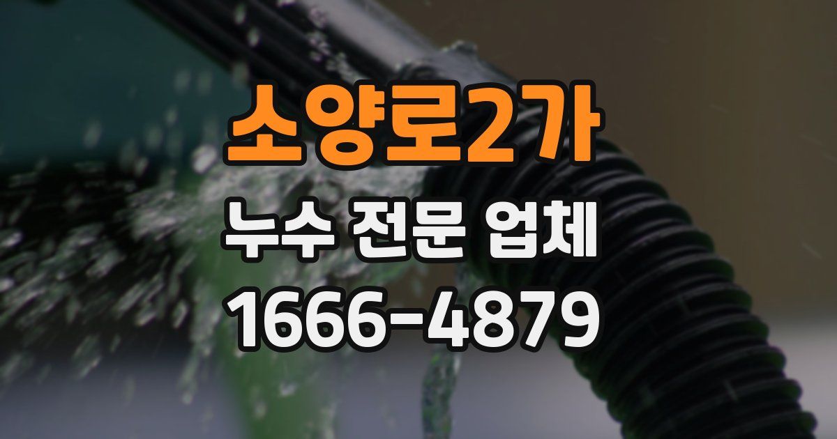 소양로2가 누수 전문 업체