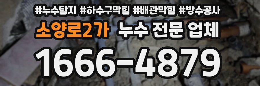 소양로2가 누수 전문 업체