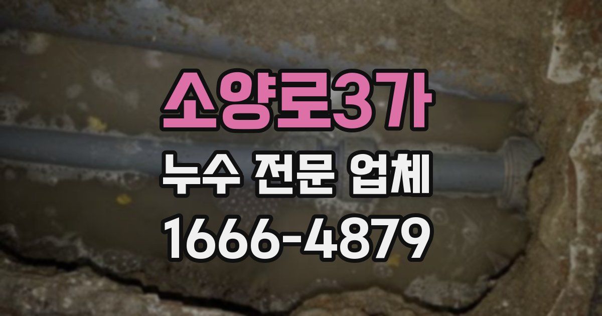 소양로3가 누수 전문 업체
