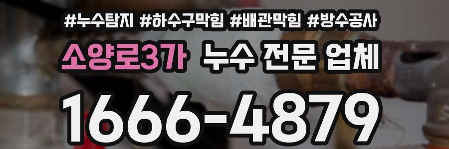 소양로3가 누수 전문 업체