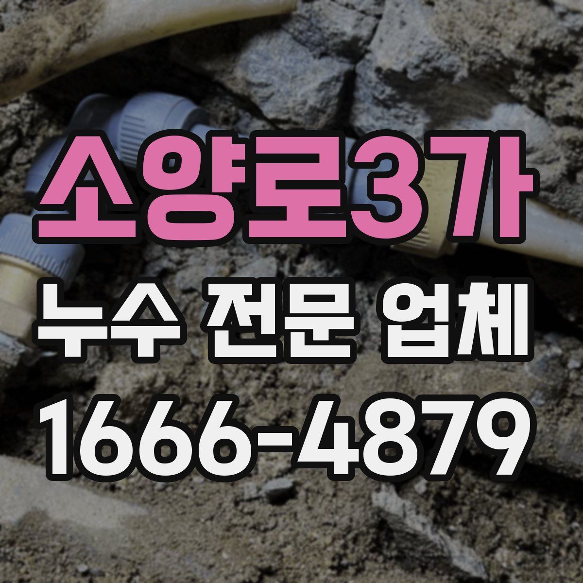 소양로3가 누수 전문 업체