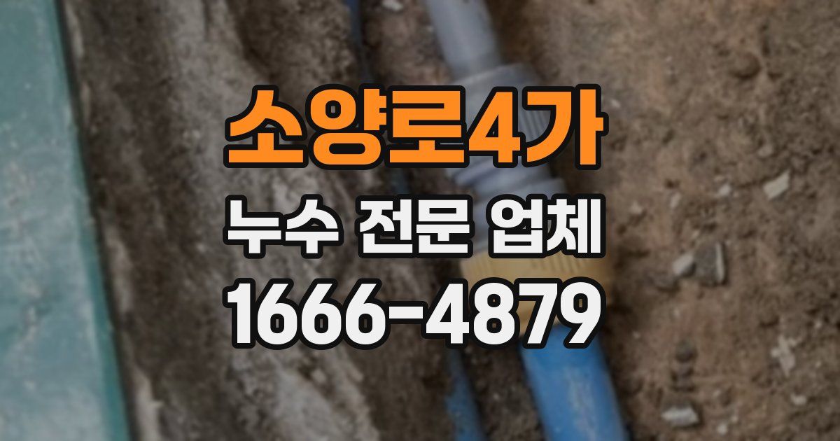 소양로4가 누수 전문 업체