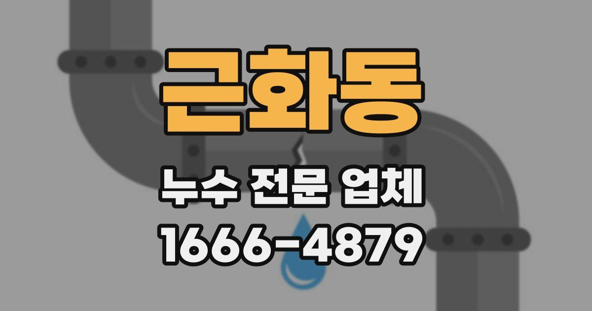 근화동 누수 전문 업체