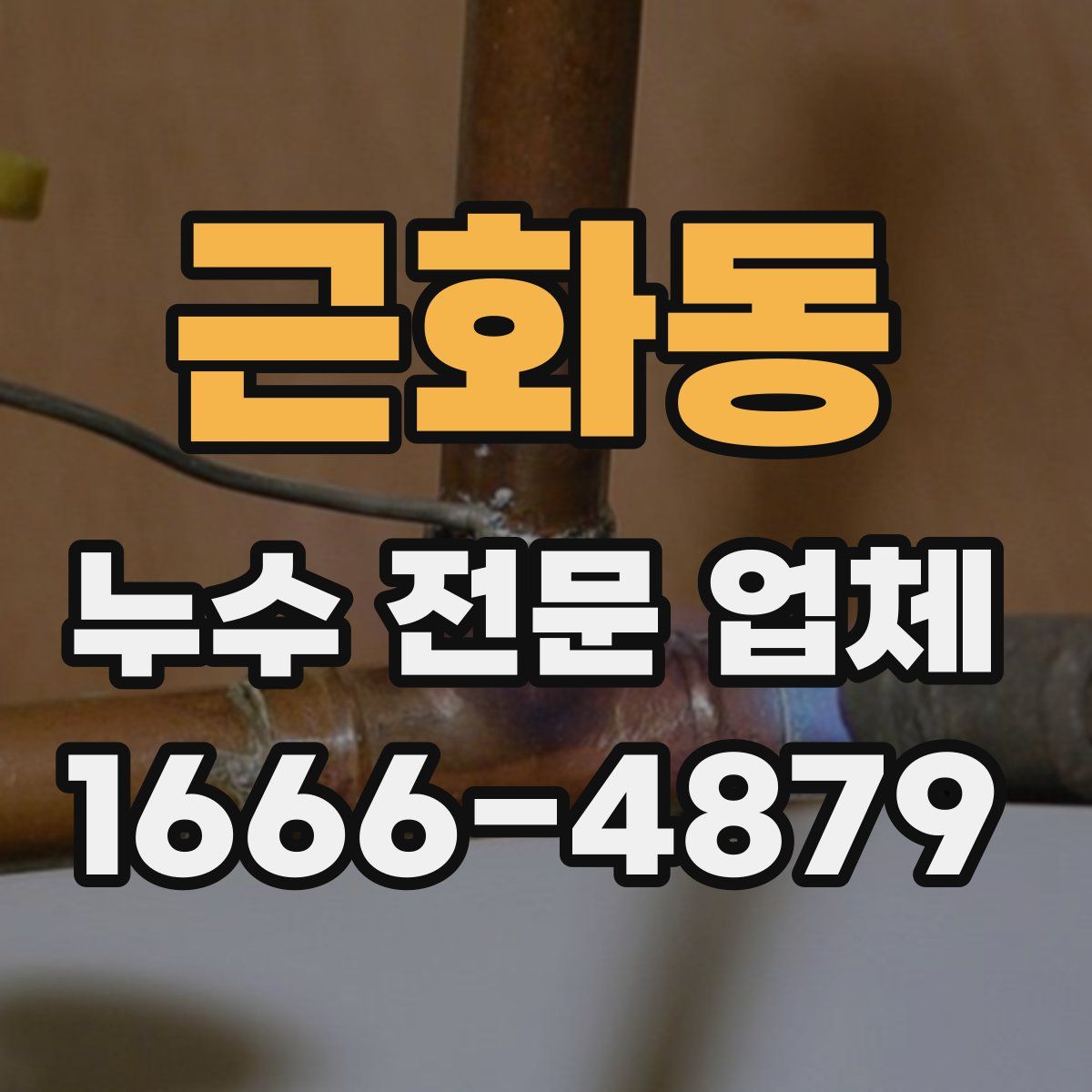 근화동 누수 전문 업체