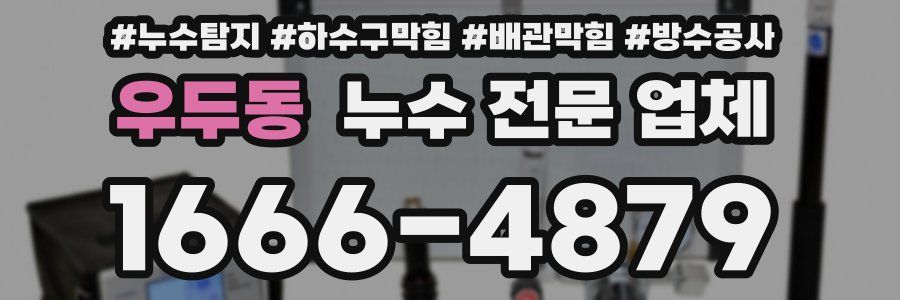 우두동 누수 전문 업체