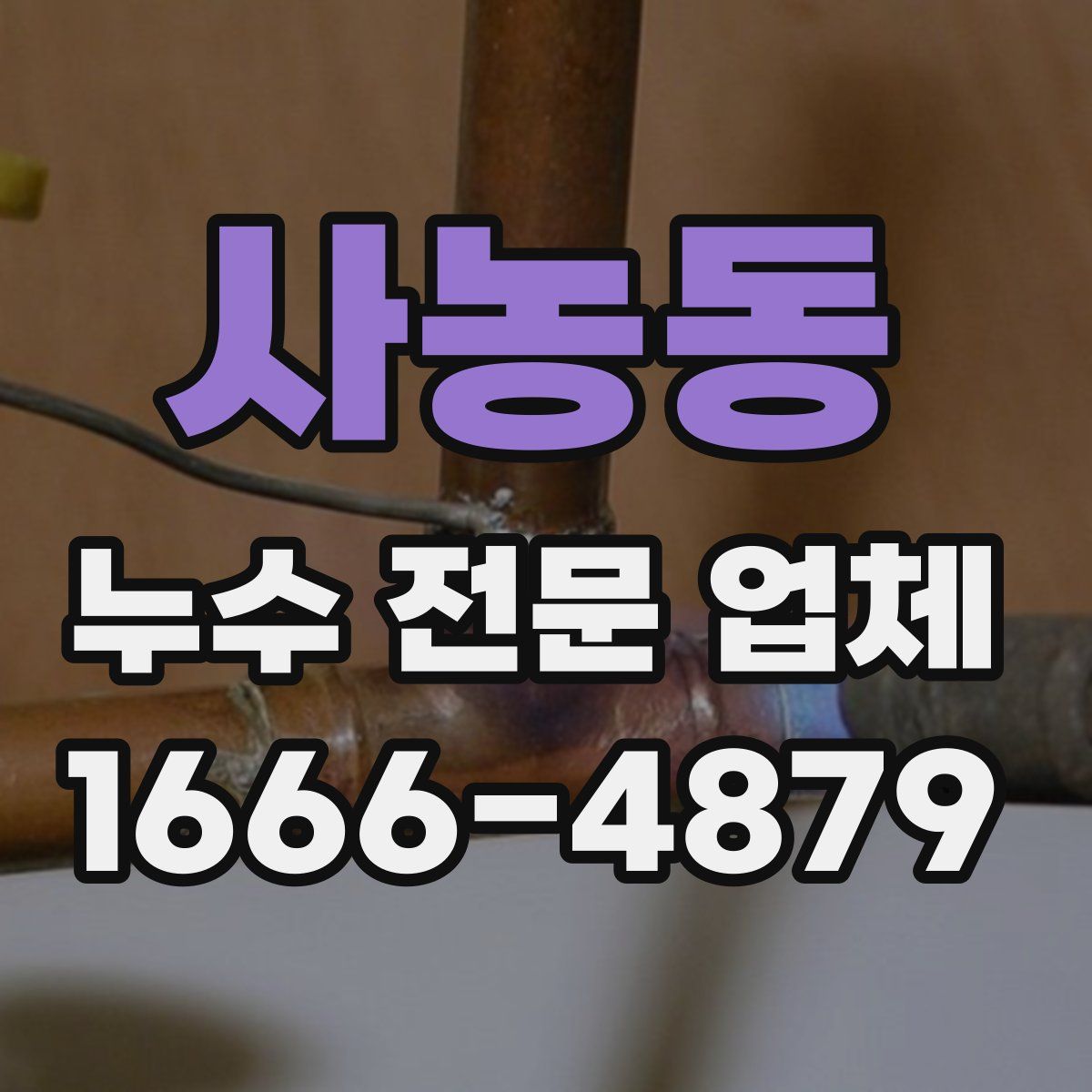 사농동 누수 전문 업체