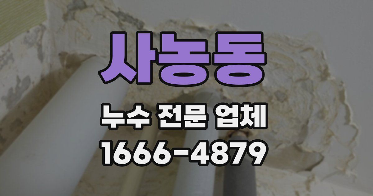 사농동 누수 전문 업체