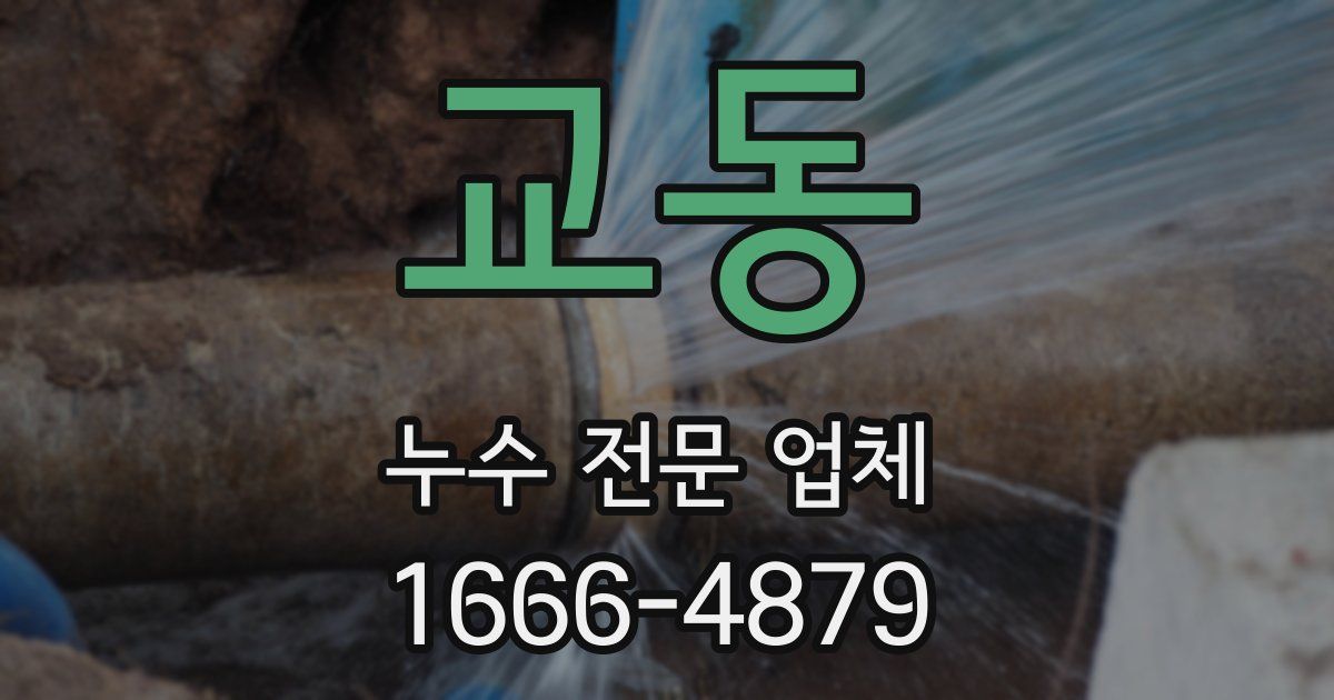 교동 누수 전문 업체