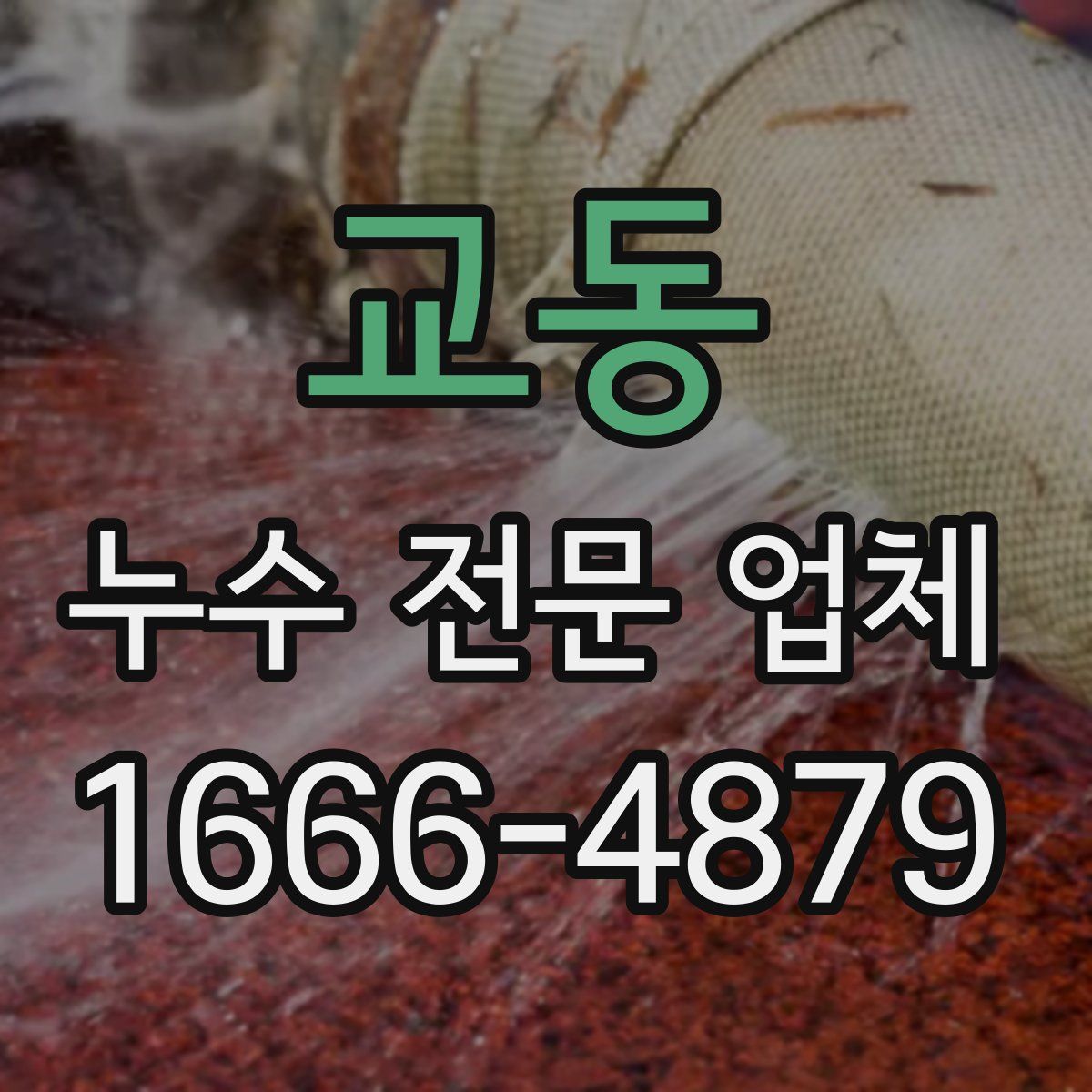 교동 누수 전문 업체