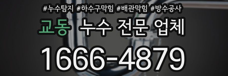 교동 누수 전문 업체