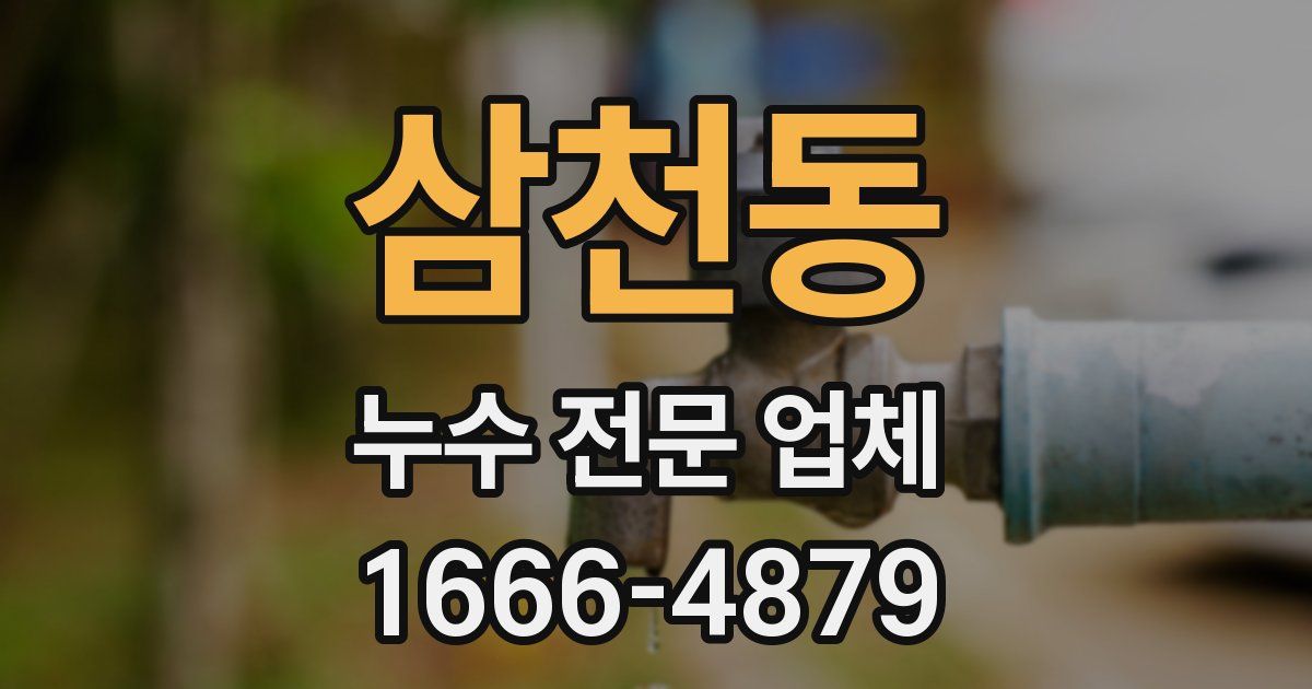 삼천동 누수 전문 업체