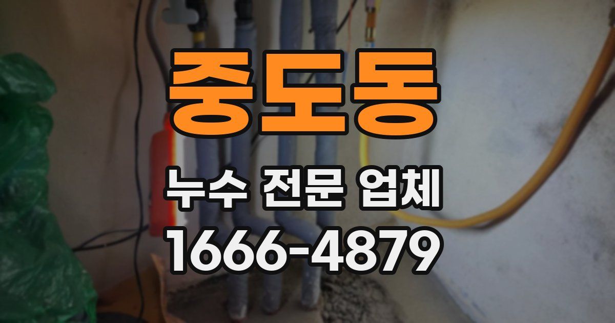 중도동 누수 전문 업체