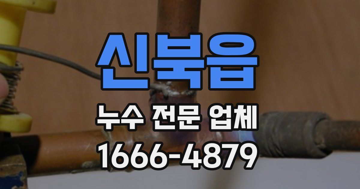 신북읍 누수 전문 업체