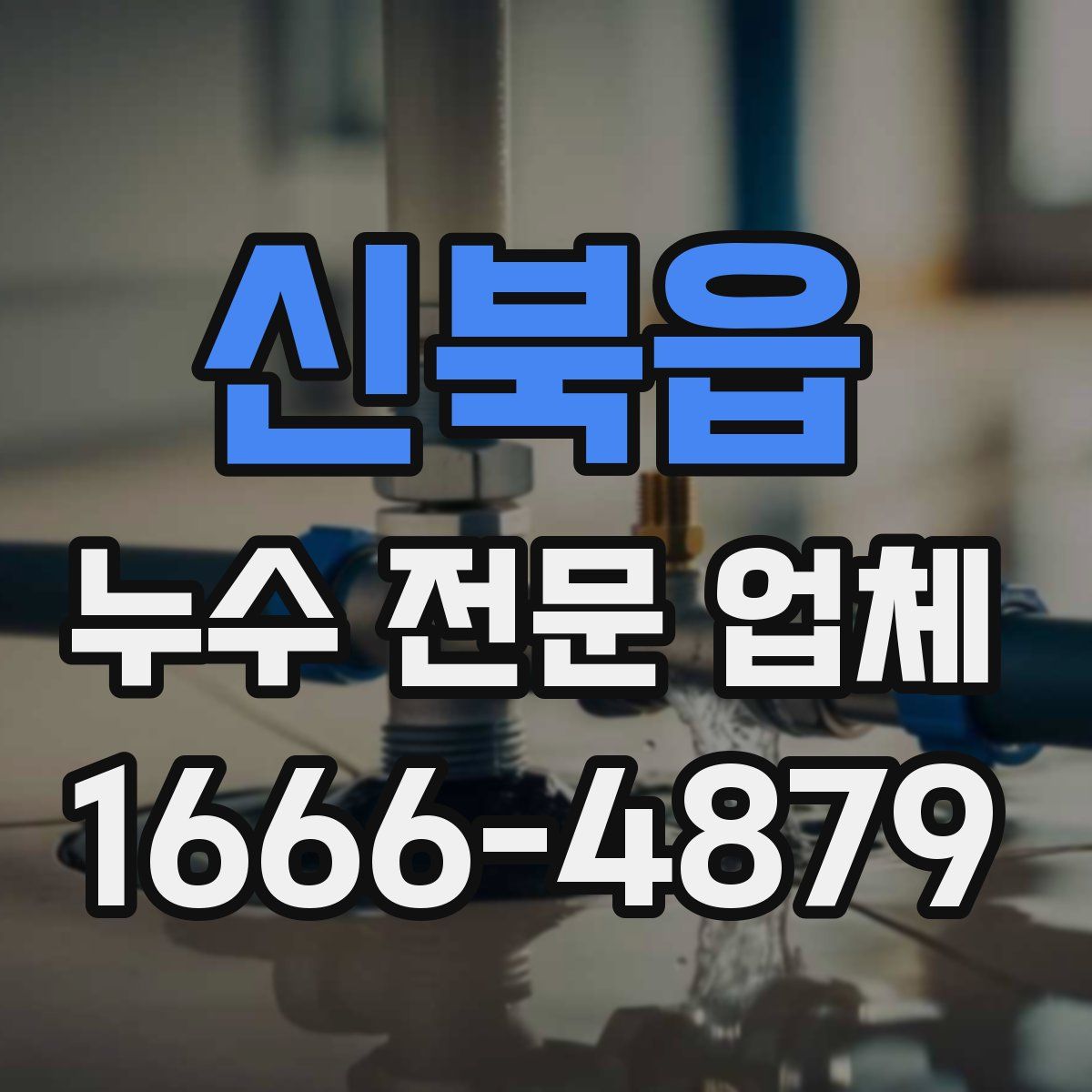 신북읍 누수 전문 업체
