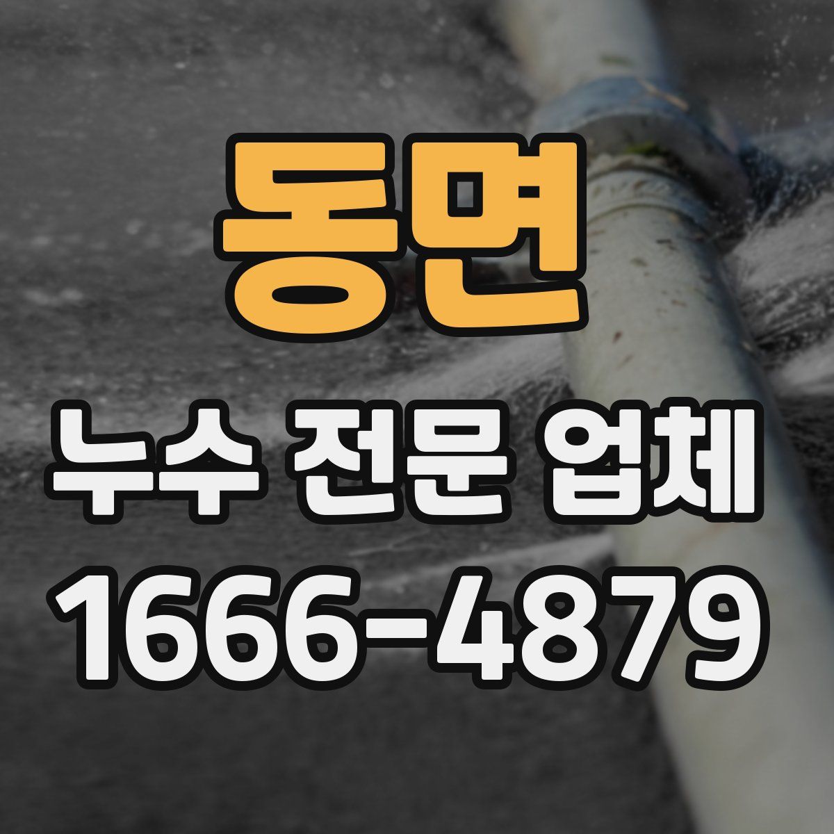 동면 누수 전문 업체