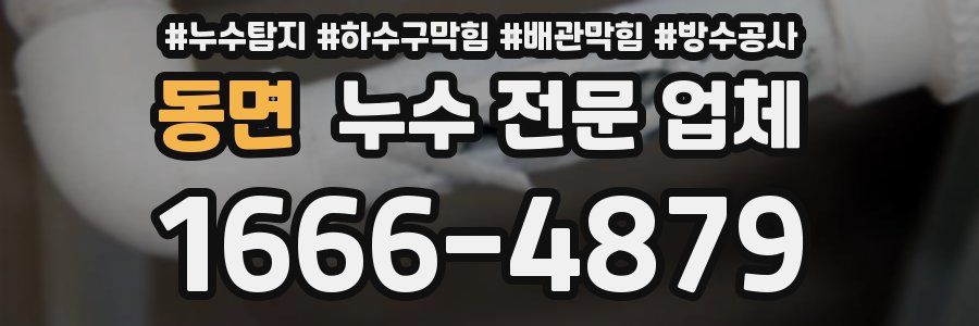 동면 누수 전문 업체