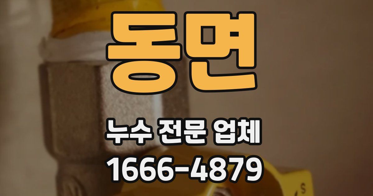 동면 누수 전문 업체