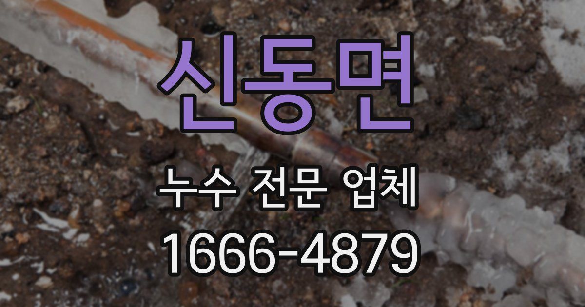신동면 누수 전문 업체