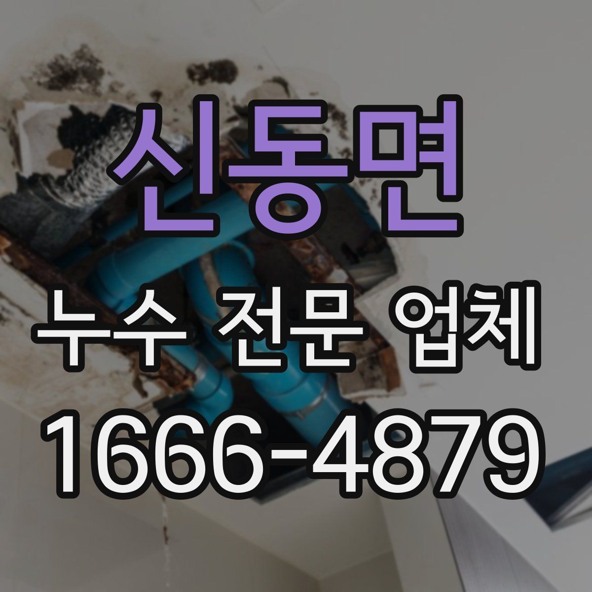 신동면 누수 전문 업체