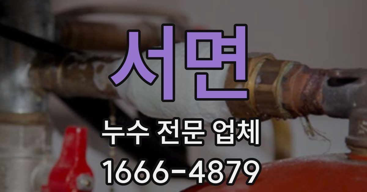 서면 누수 전문 업체