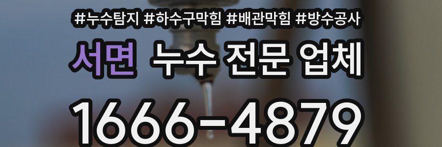 서면 누수 전문 업체