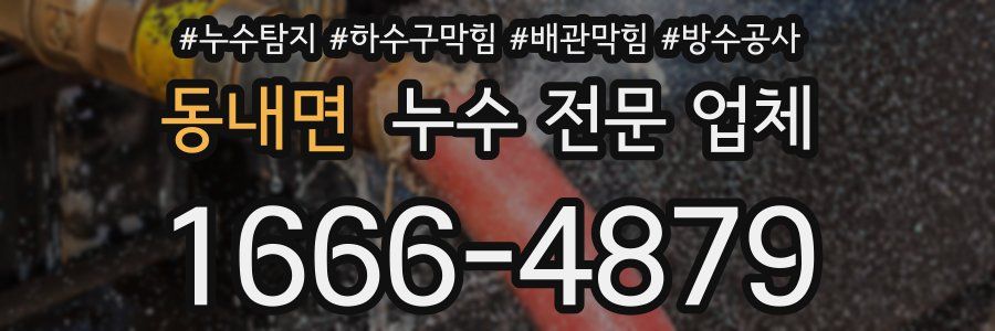 동내면 누수 전문 업체