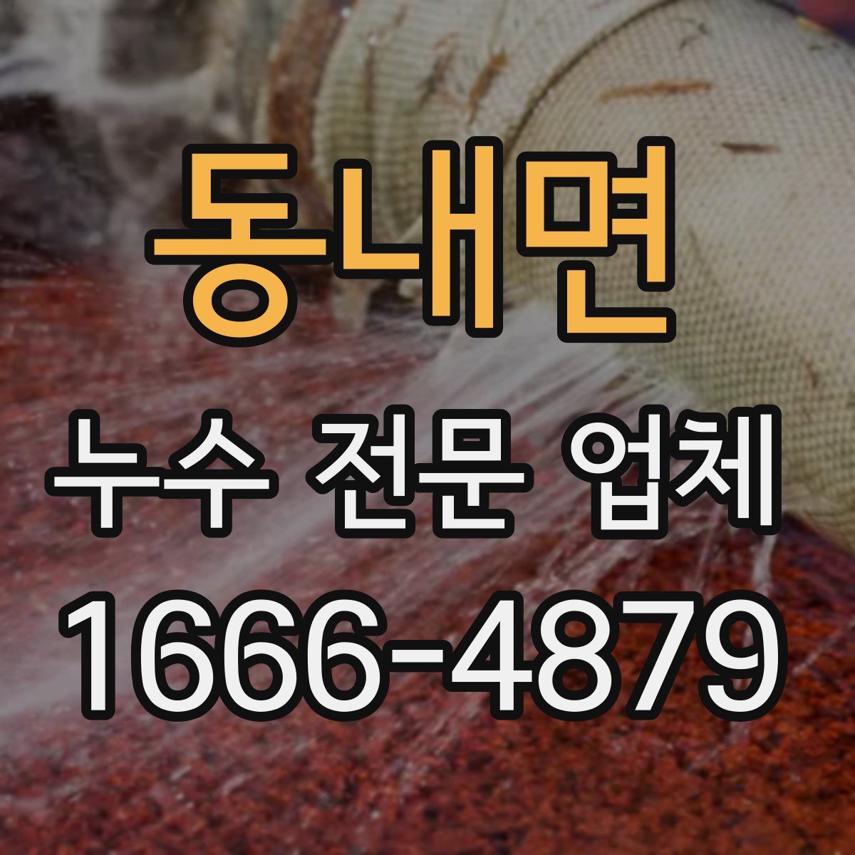 동내면 누수 전문 업체