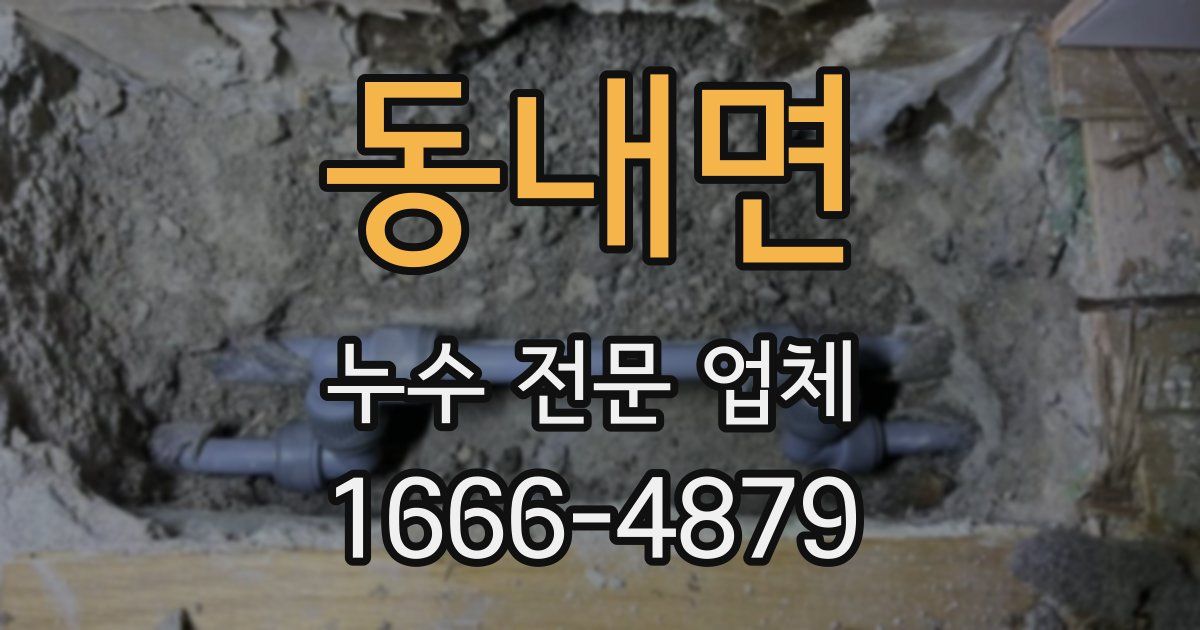 동내면 누수 전문 업체