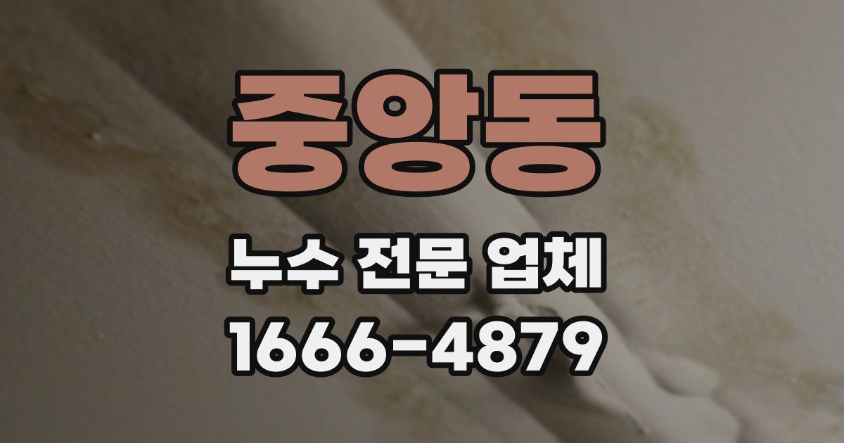 중앙동 누수 전문 업체