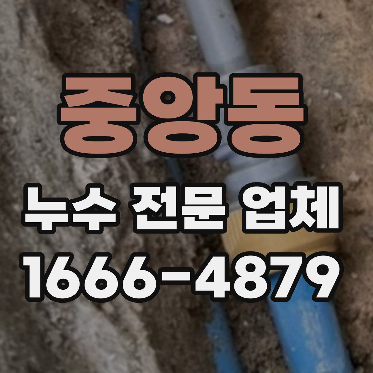 중앙동 누수 전문 업체