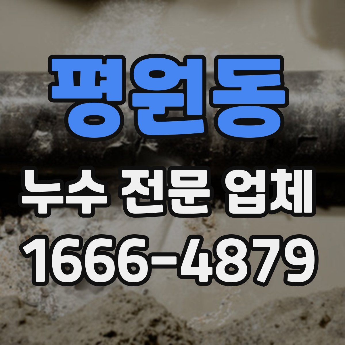 평원동 누수 전문 업체