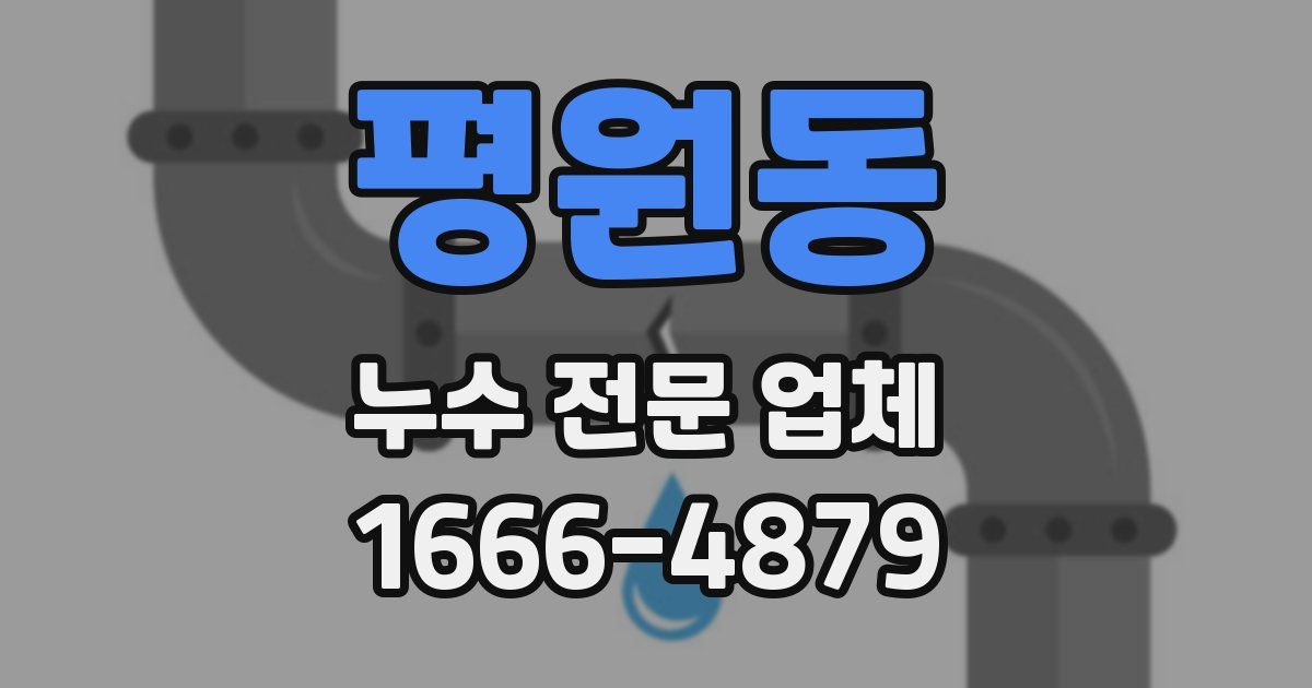평원동 누수 전문 업체