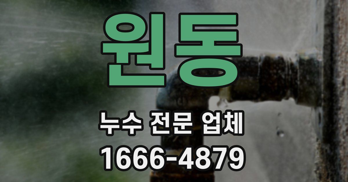 원동 누수 전문 업체