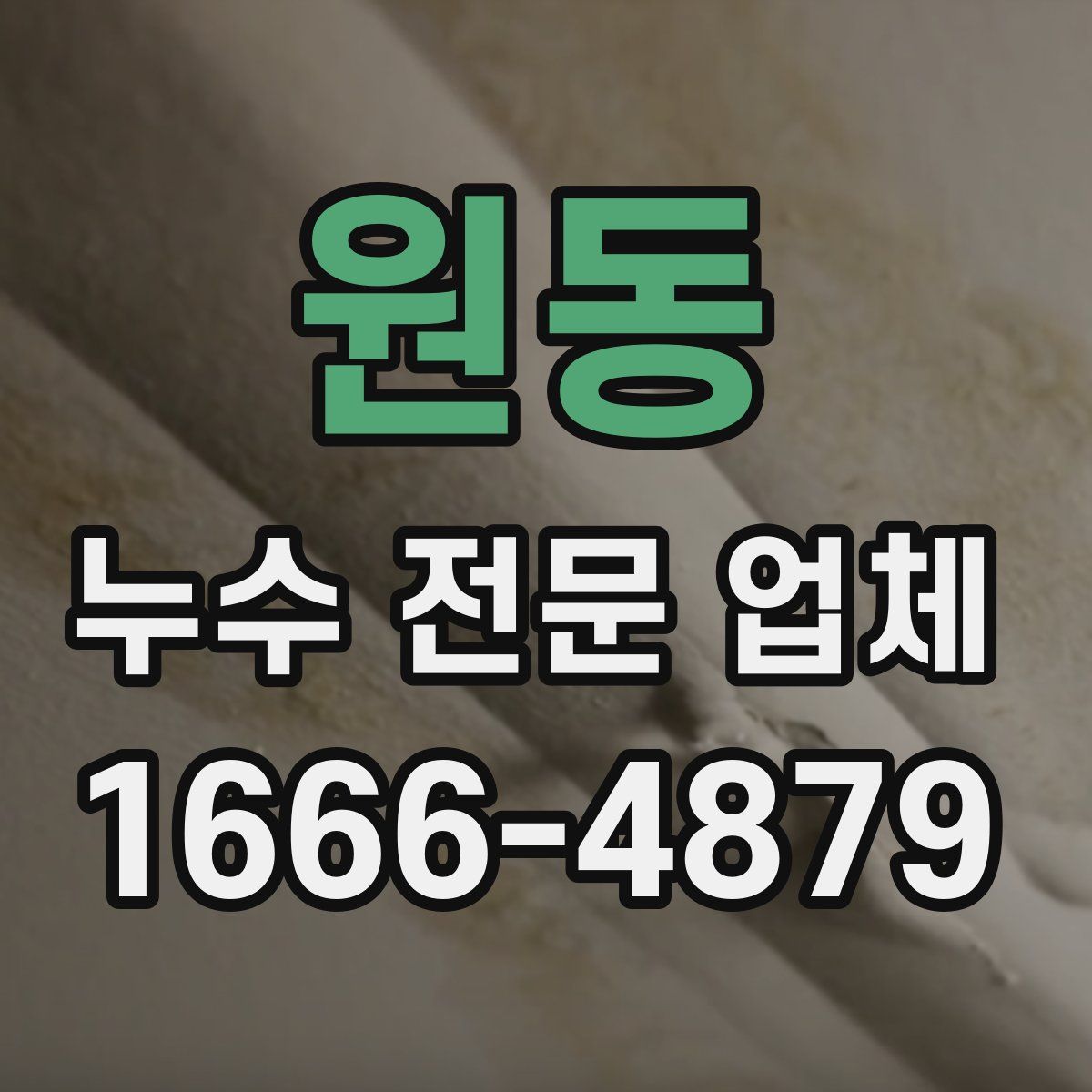 원동 누수 전문 업체