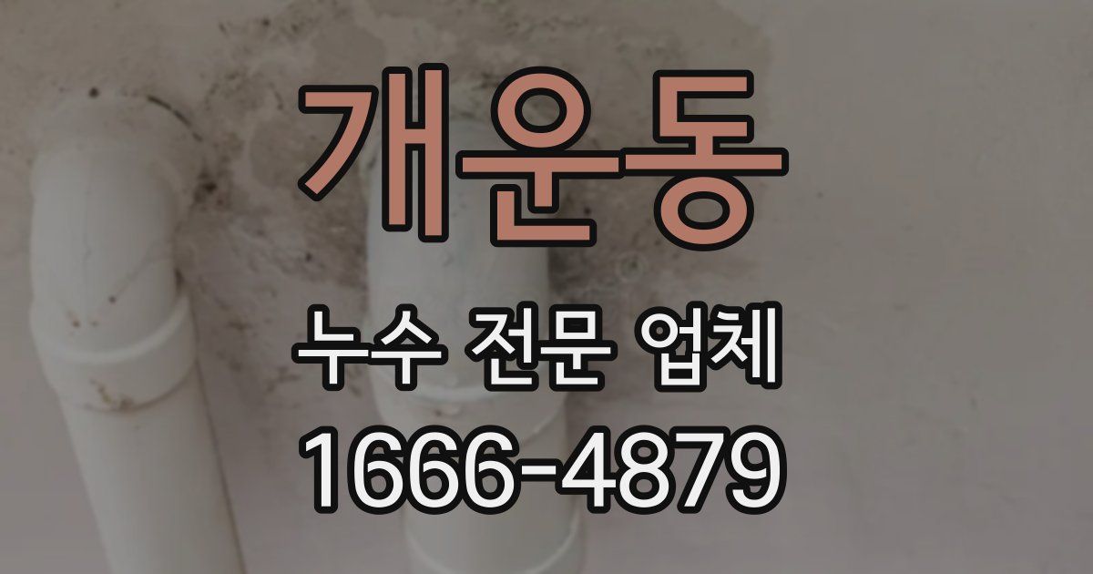개운동 누수 전문 업체