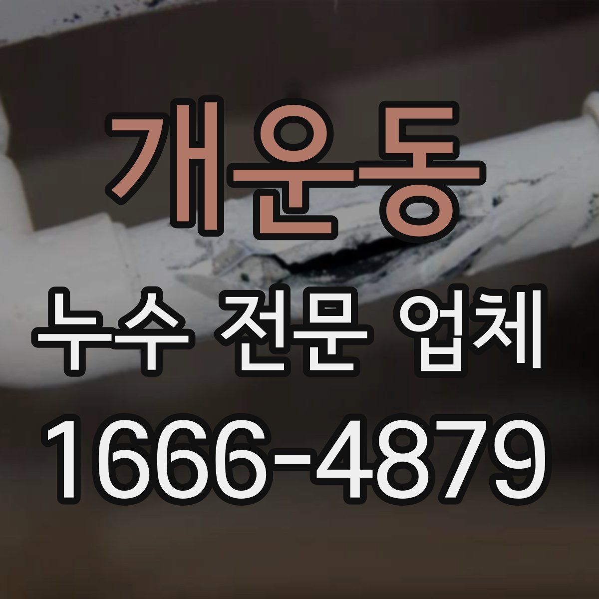 개운동 누수 전문 업체