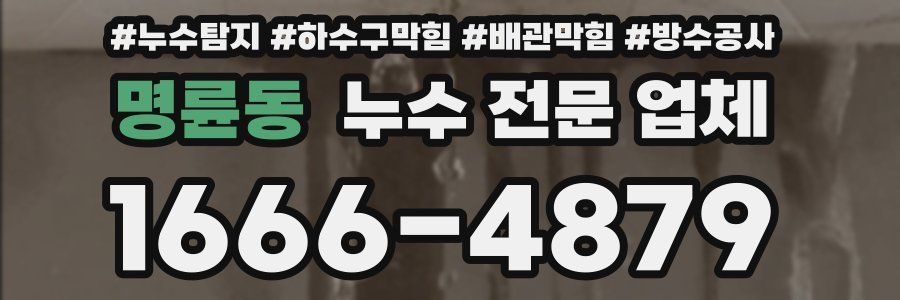 명륜동 누수 전문 업체