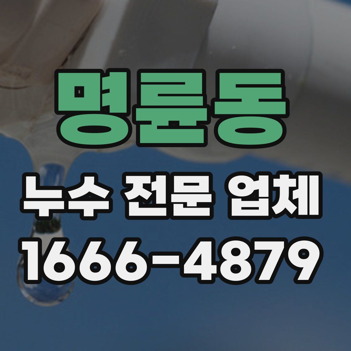 명륜동 누수 전문 업체