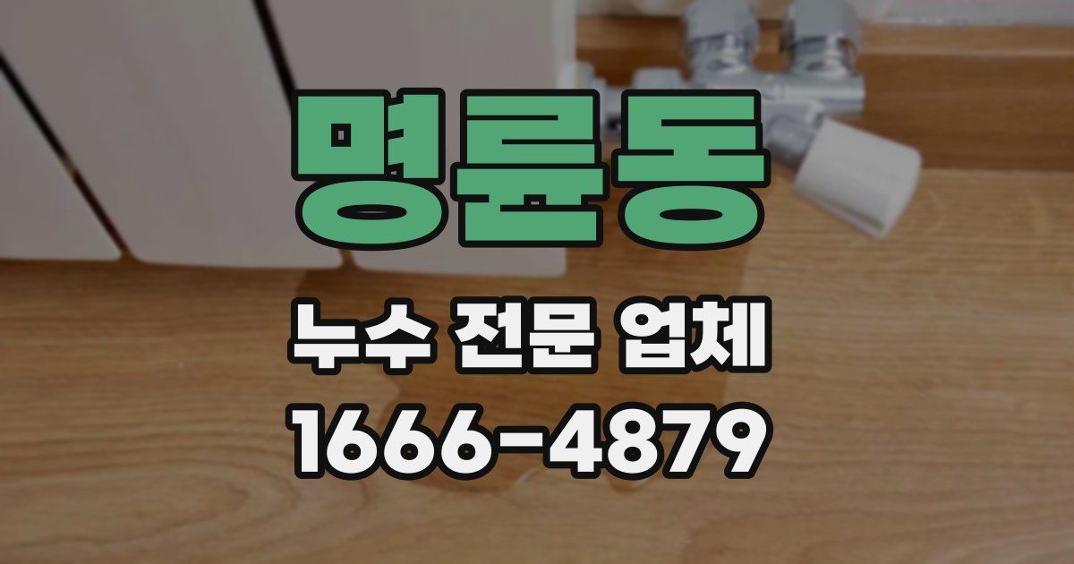 명륜동 누수 전문 업체