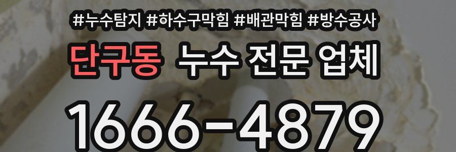 단구동 누수 전문 업체